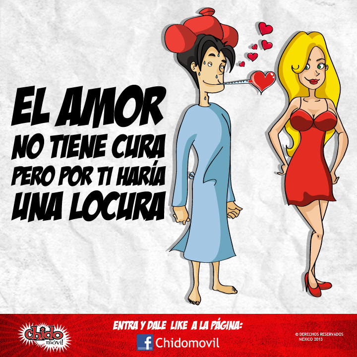 Resultado de imagen de todo imagenes
