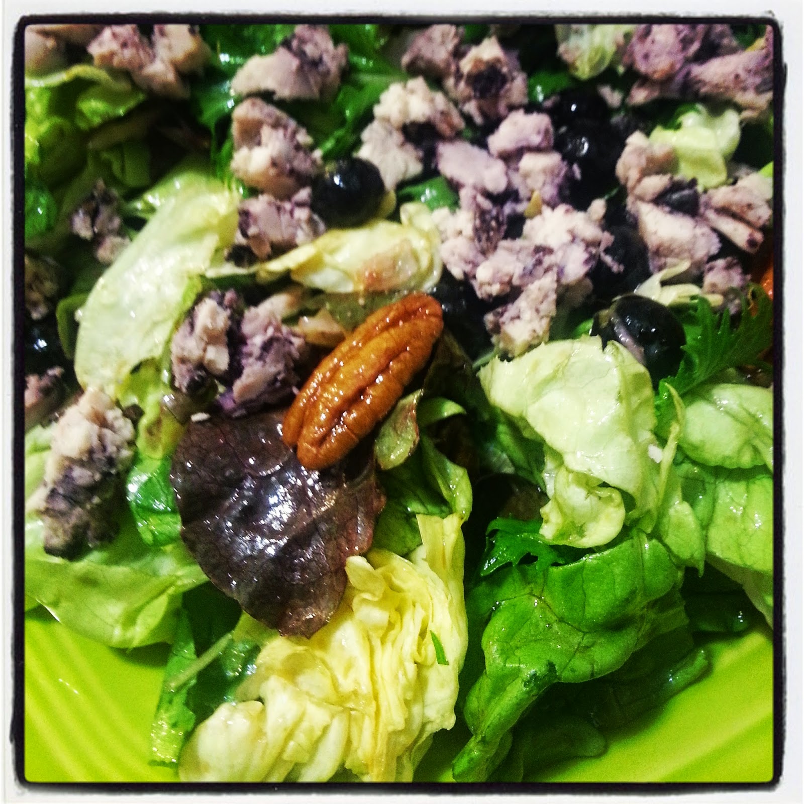 The Ketogenic Diet Low Carb, High Flavor! Blueberry Lemon Salad with