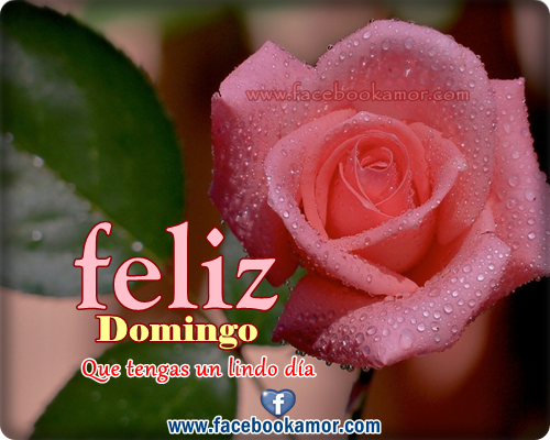 Bienvenidos al nuevo foro de apoyo a Noe #316 / 10.04.16 ~ 17.04.16 - Página 40 Feliz+domingo+para+facebook