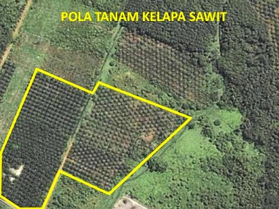 Jual Citra Satelit Untuk Pertanian dan Perkebunan