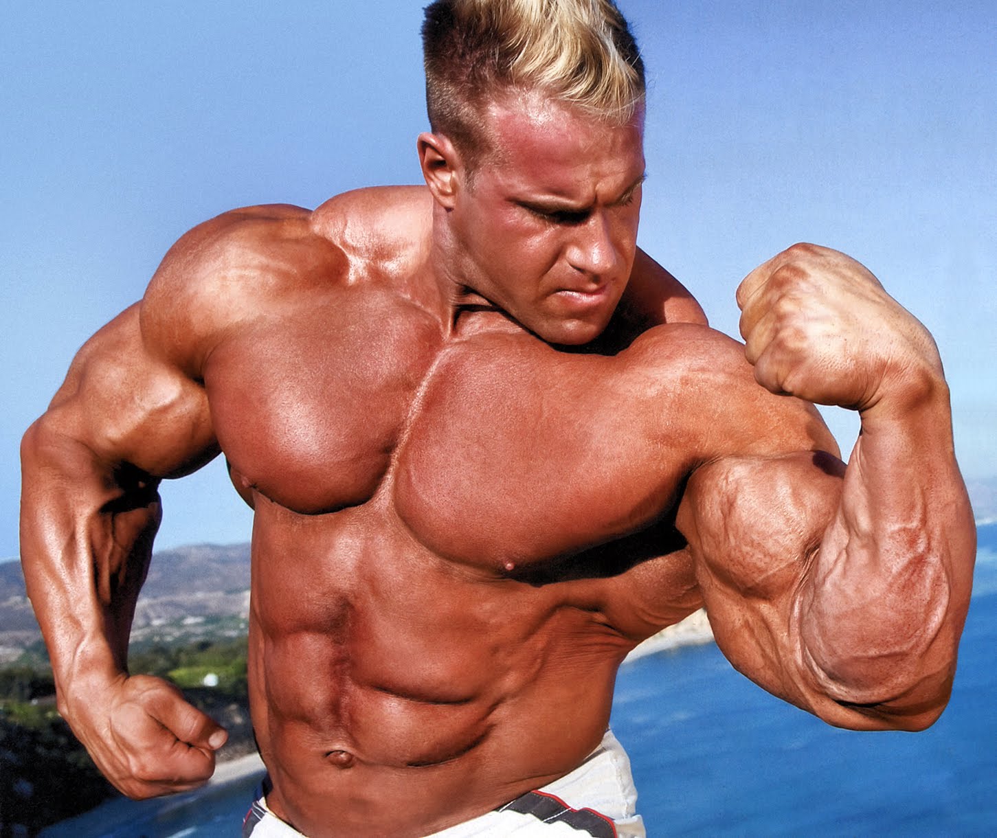 SEARCH AND BUY THIS PRODUCT bodybuilding
