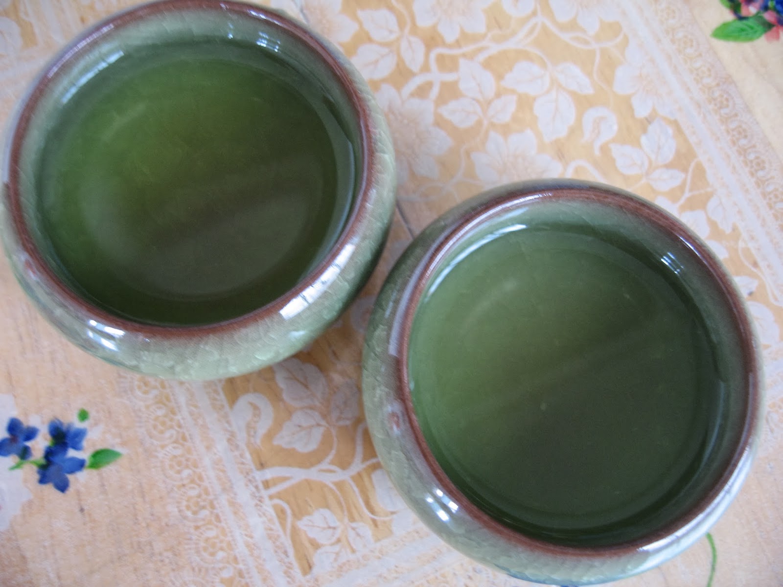 Sumptuous Flavours Green Papaya Tea To Reduce Uric Acid 青木瓜泡茶医痛风