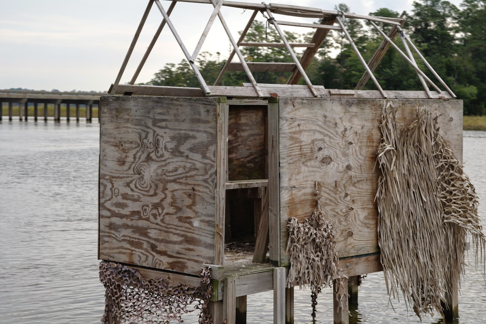 Today on the James: Adopt a Duck Blind