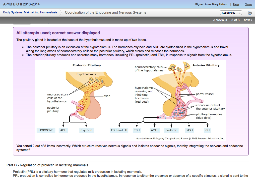 Mastering biology MBBody Systems Regulation of prolactin