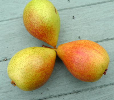 pear