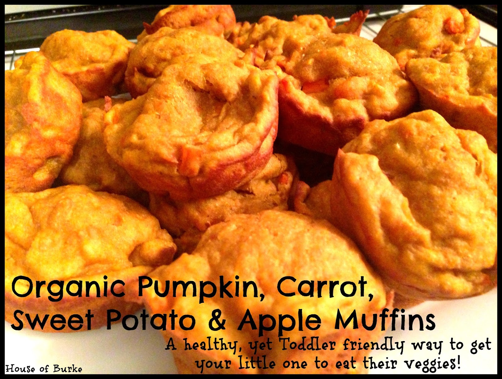 House of Burke Toddler Friendly Organic Pumpkin, Carrot, Sweet Potato