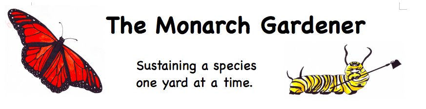 The Monarch Gardener