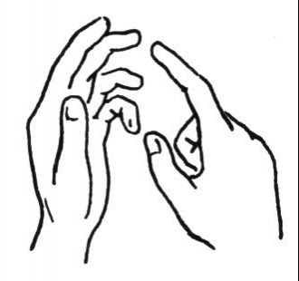 Line Drawing :: Clip Art :: Hands :: Fingres