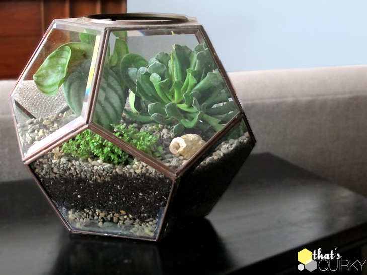 The Fern and Mossery How to Waterproof a Light Fixture for a Terrarium