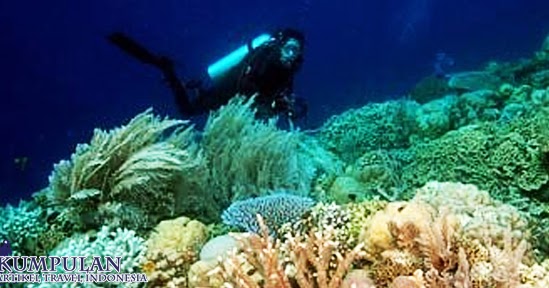 Keindahan Objek Wisata Alam Bawah Laut di Kepulauan