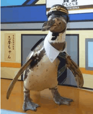 日本 企鵝站長 志摩