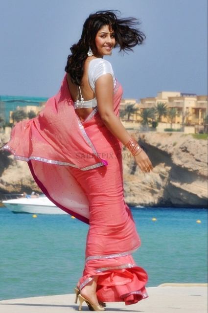 Bhai-heroine-Richa-gangopadhyay-pink-saree-stills Richa-gangopadhyay-backless-saree-stills