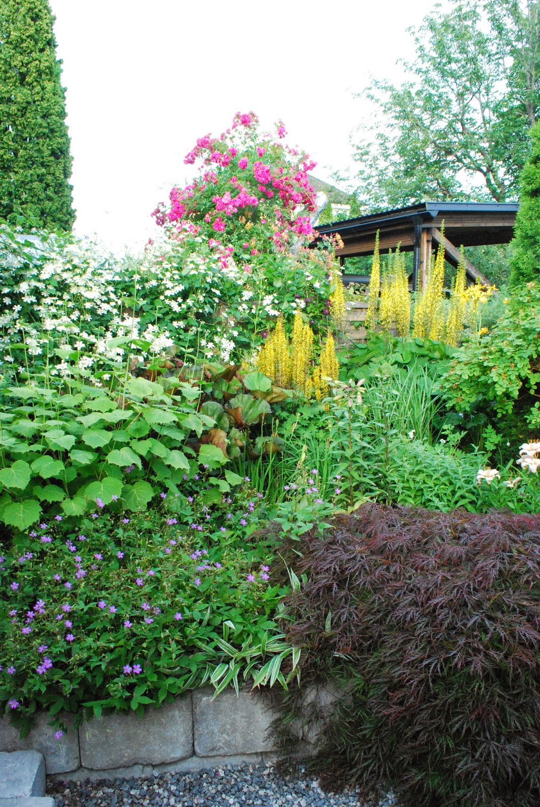 Merjas trädgård: 2014 jul 18