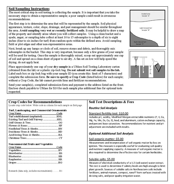 HiveQueen Garden planning Test your soil for lead