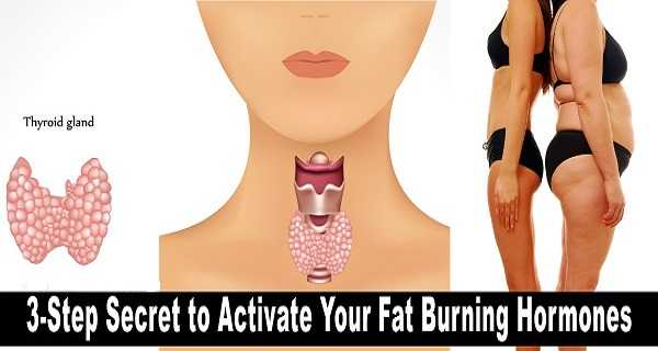 3-Step Secret to Activate Your Fat Burning Hormones and Lose Weight Fast 3-Step Secret to Activate Your Fat Burning Hormones and Lose Weight