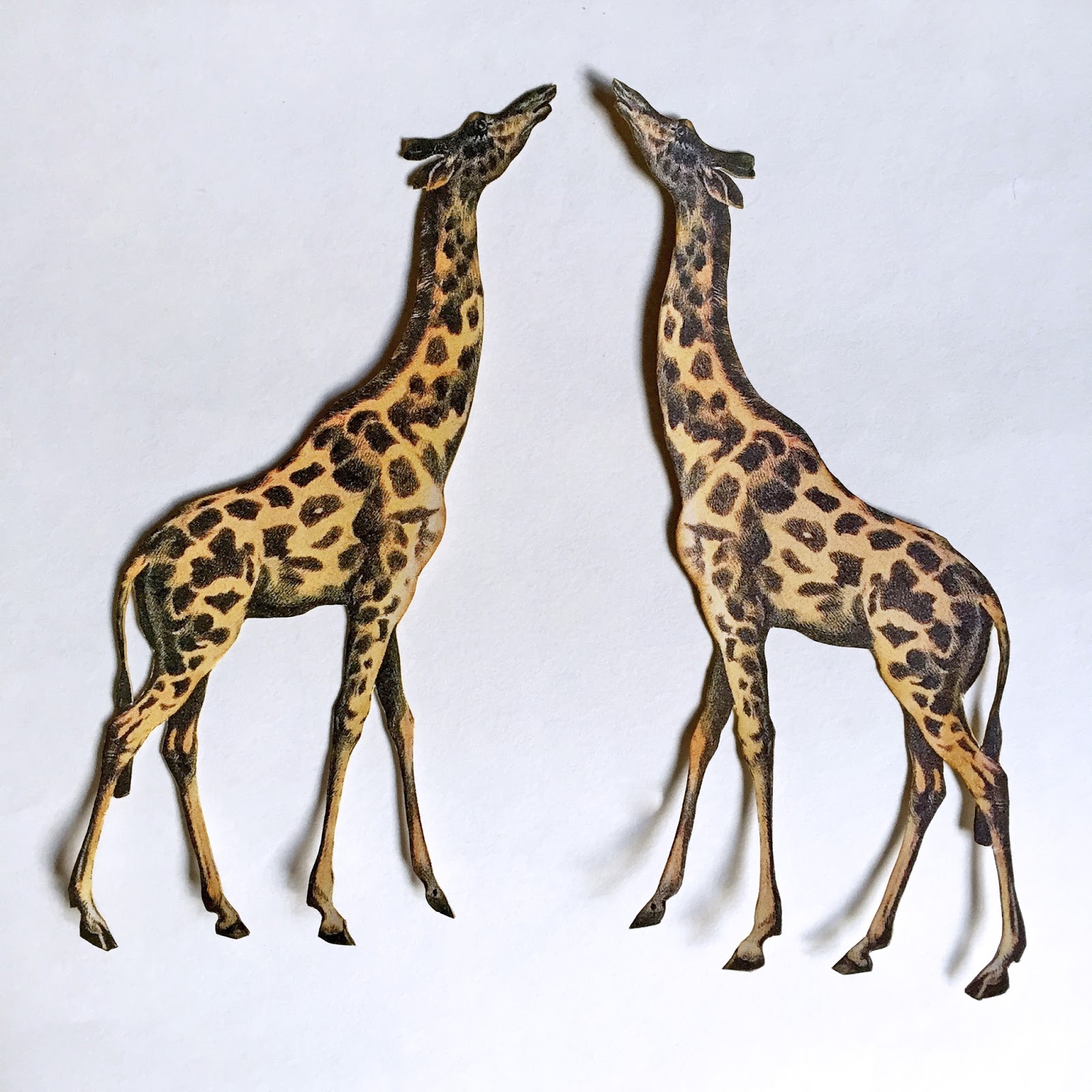 Katie Z. Paperworks Safari Trunk Boutique Diorama