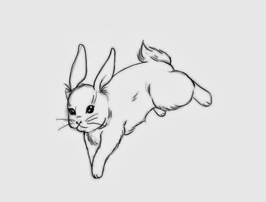 Rabbit For Kid Coloring Page Free wallpaper