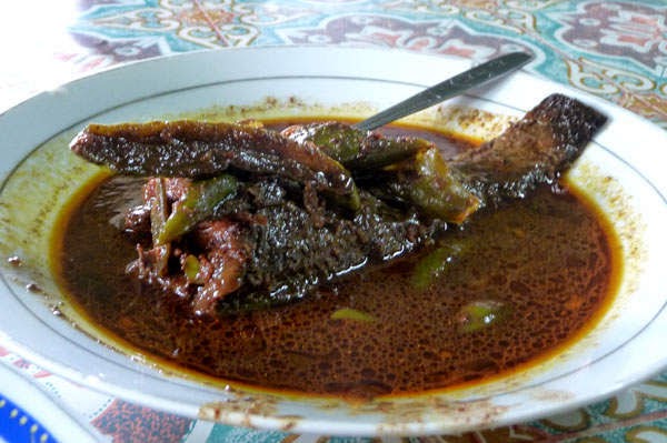 Resep Ikan Gabus Pucung Spesial Kumpulan Resep Masakan Resep Ikan Gabus Pucung Spesial Kumpulan Resep Masakan