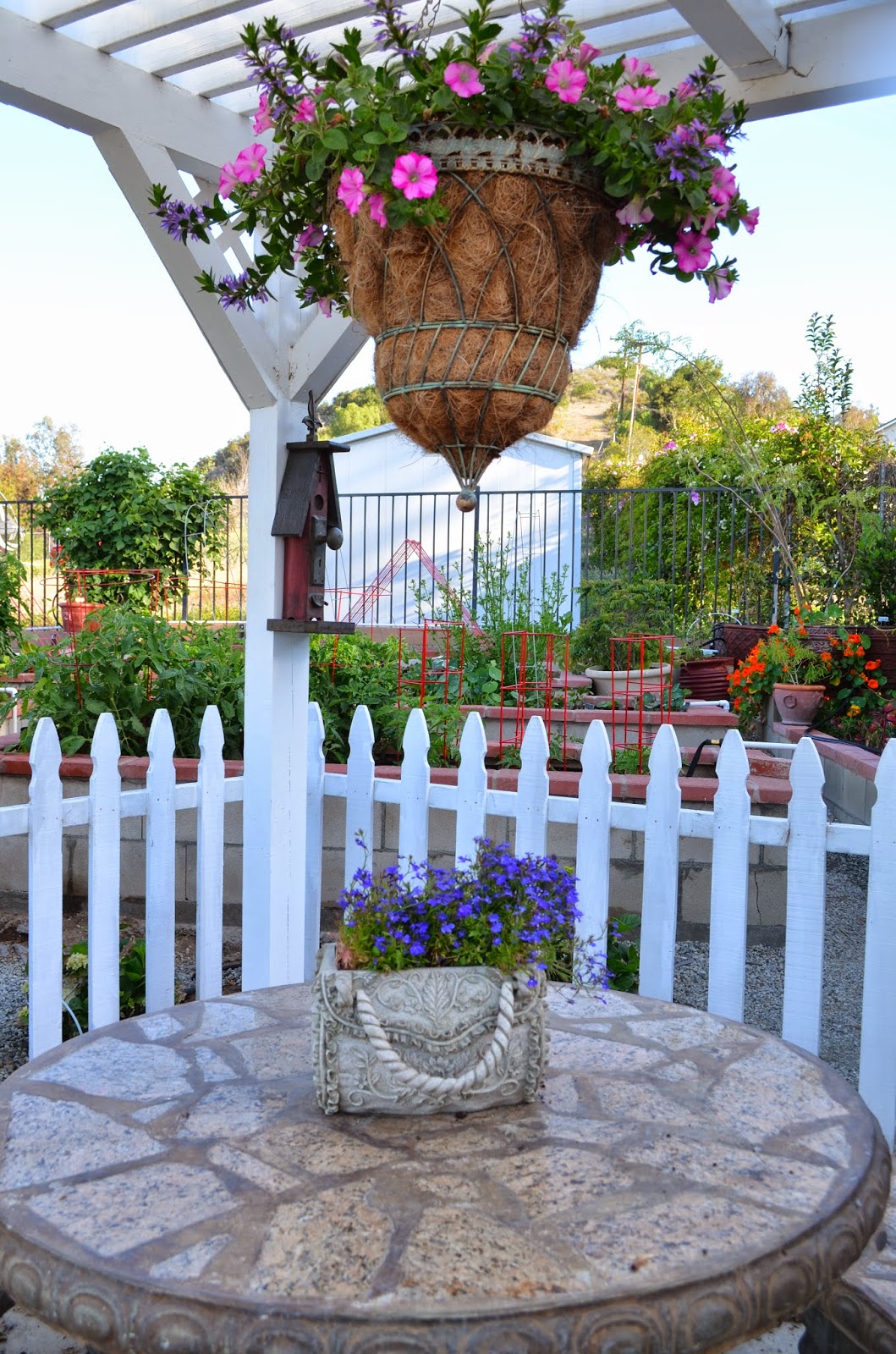 Entertaining From an Ethnic Indian Kitchen: Garden tour 2: The kitchen