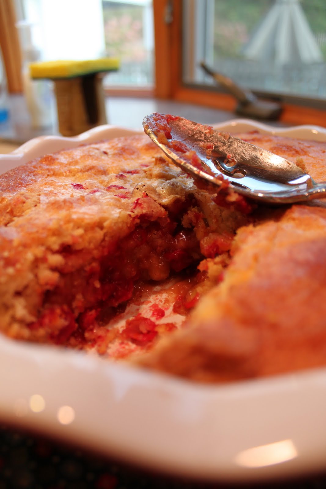 The Good Eatah Fresh Cranberry and Apple Cake