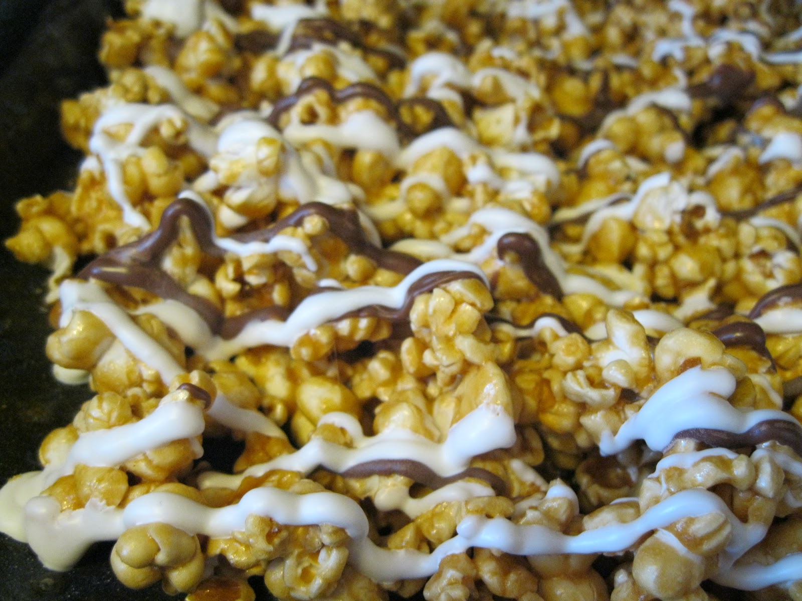 Zebra Popcorn Idea Closet