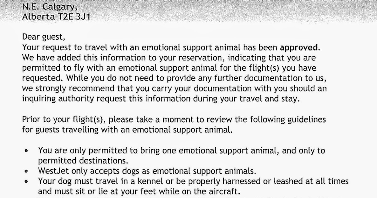 dog law reporter service dog barred from international flight emotional support animal airline letter