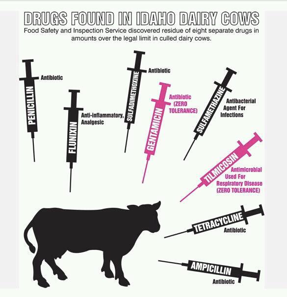 Prostate exam lubricant ky, prostate gland definition biology 7th