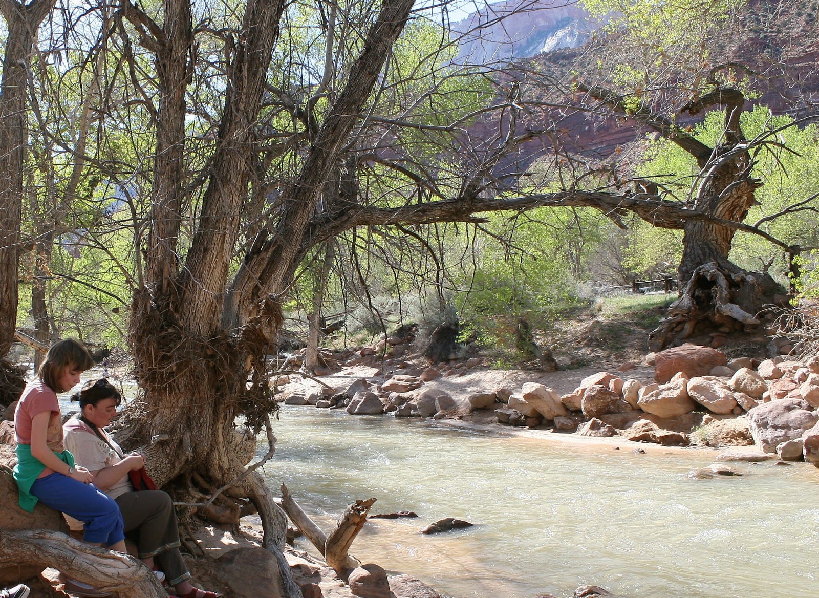 Mrs Craftypants Holiday Shawl and Primrose Garland