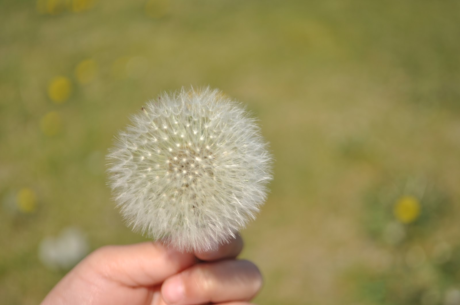 Just About Anything May 2012