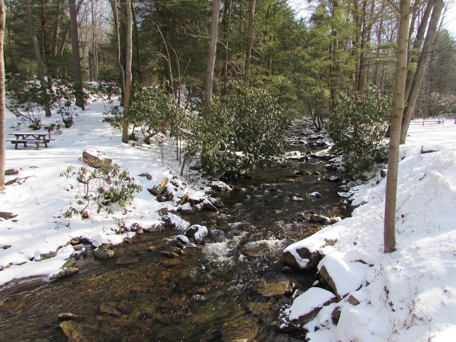 Linn Run State Park, Ligonier, PA, Westmoreland County Interesting