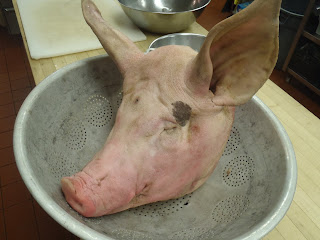 A pig's head, cleaned and awaiting my boning knife