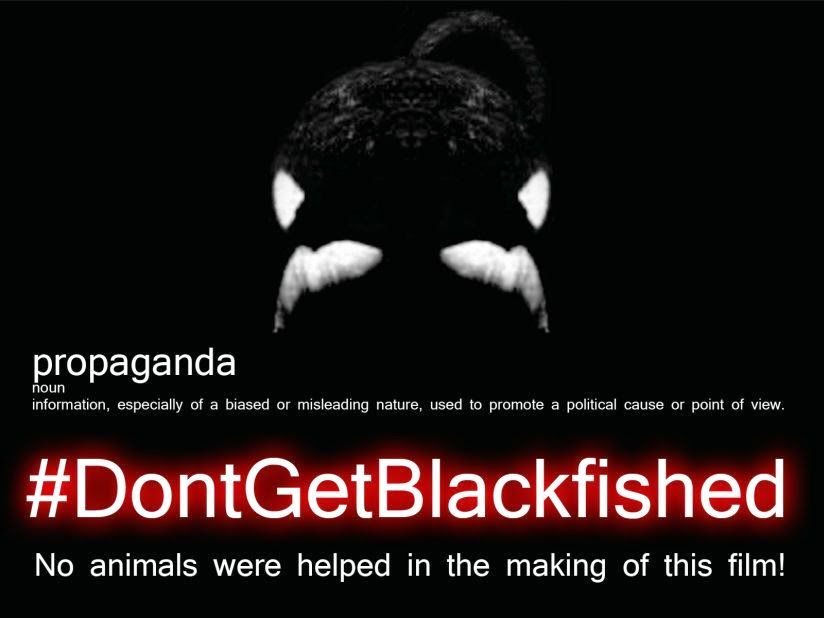 marine animal welfare blackfish