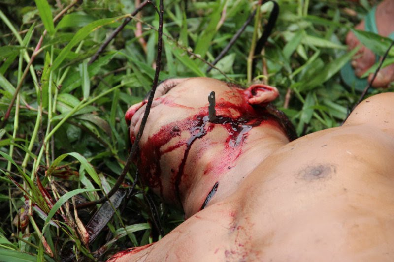 ERIZON NET DO erizon net do: