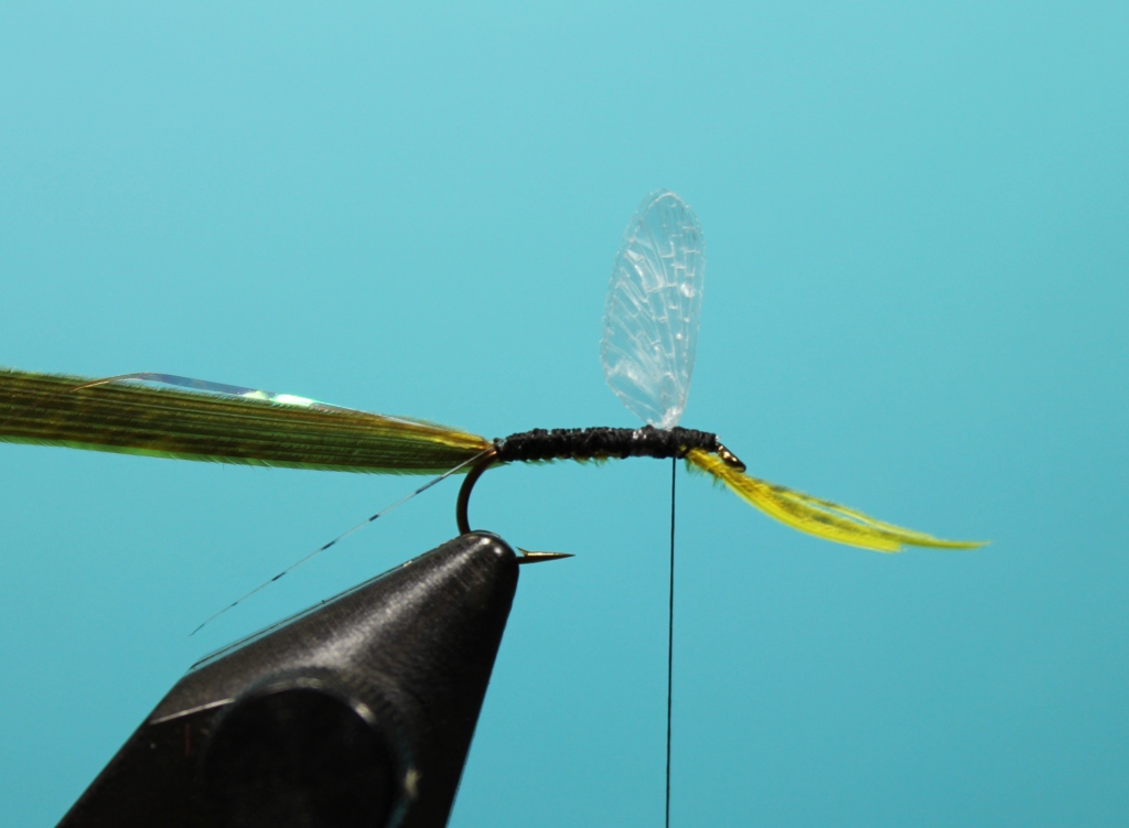 Fly Tying Nation Reel Wings Yellow Drake