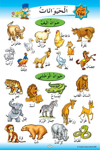 Dalam bahasa arab anjing Cerita Berbahasa