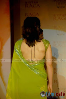 saree Blouse Back Designs - Choli Back Design Pictures - blouse design ideas 2012