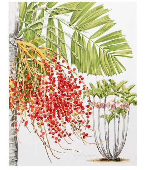 https://www.chairish.com/product/43316/marion-sheehan-mcarthur-palm-lithograph