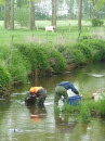Cover foto Evaluatie van vismigratievoorzieningen in Nederland