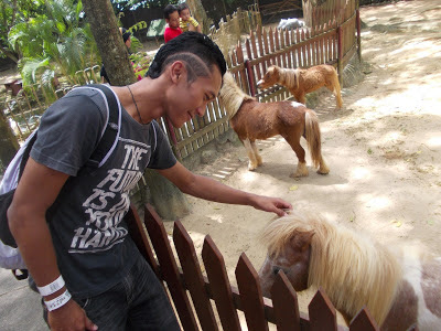 safari A Famosa Resort safari A Famosa Resort