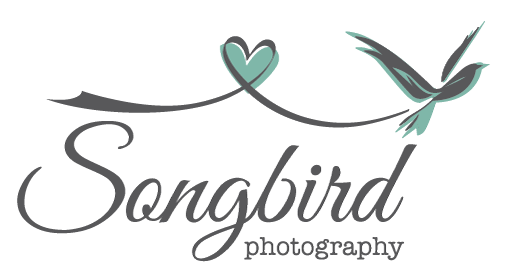 Songbird Photography
