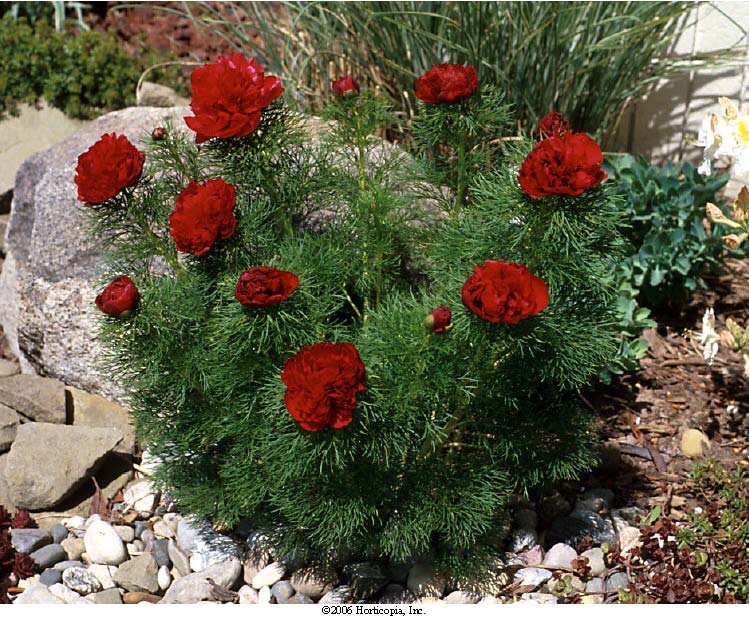 Beechwood Landscape Architecture and Construction