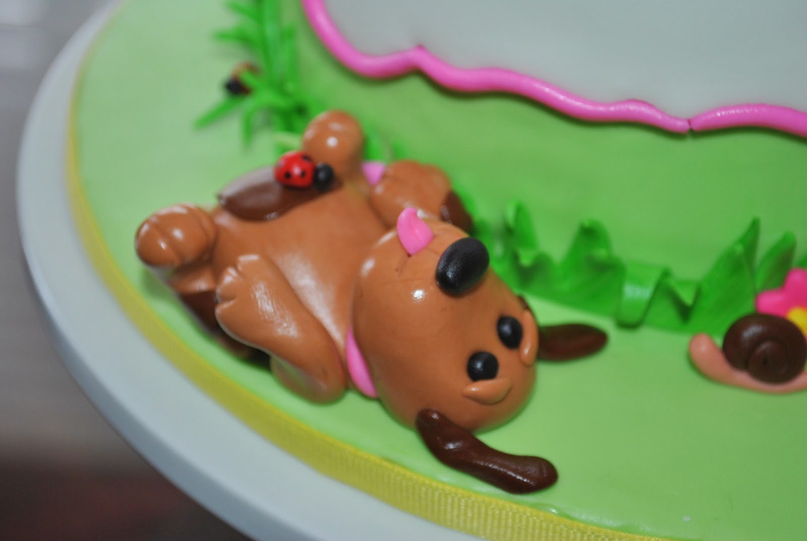 Birthday Puppies Pictures