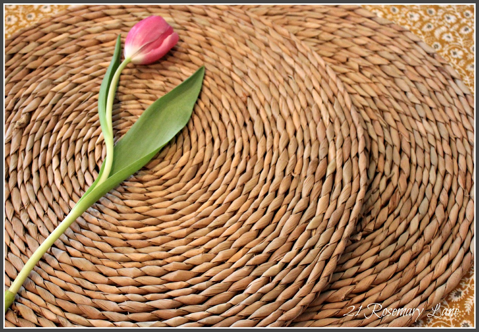 21 Rosemary Lane Rush Placemats for Spring