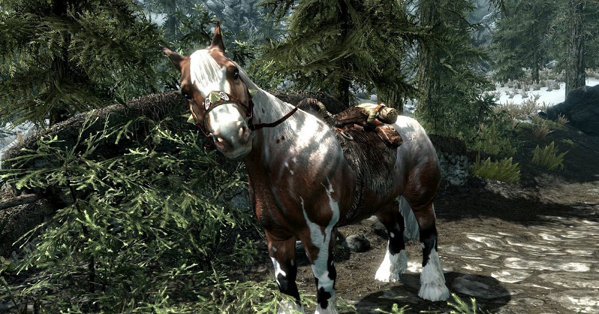 MaigretsHeadSpace Horses and Dragons