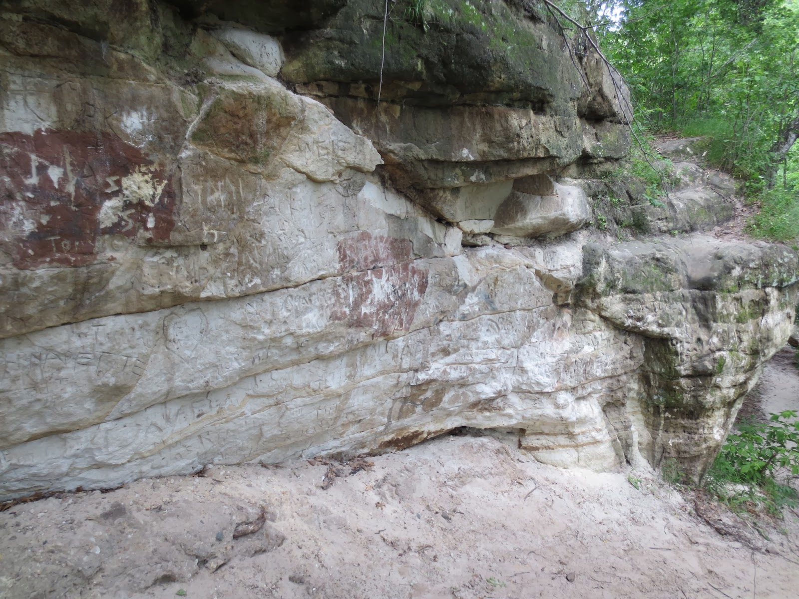 Equatorial Minnesota Fossils in the St. Peter Sandstone