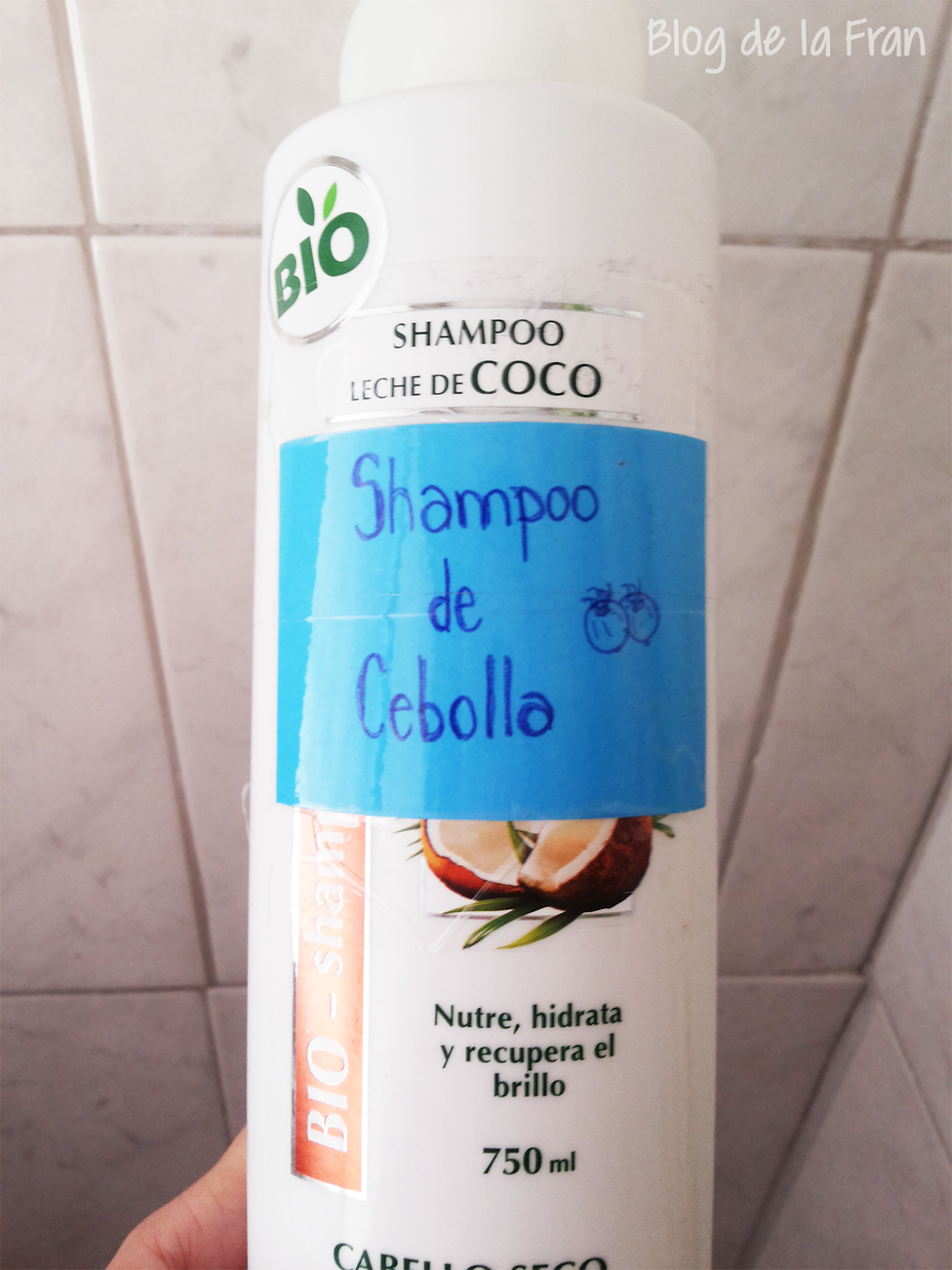 2da parte Shampoo de Cebolla para el Crecimiento del Cabello Mi experiencia y resultados