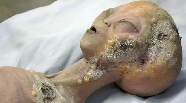 UFO και νεκρά εξωγήινα σώματα αποθηκεύονται αλλά όχι στην Περιοχή 51 UFO και νεκρά εξωγήινα σώματα αποθηκεύονται αλλά όχι στην Περιοχή 51