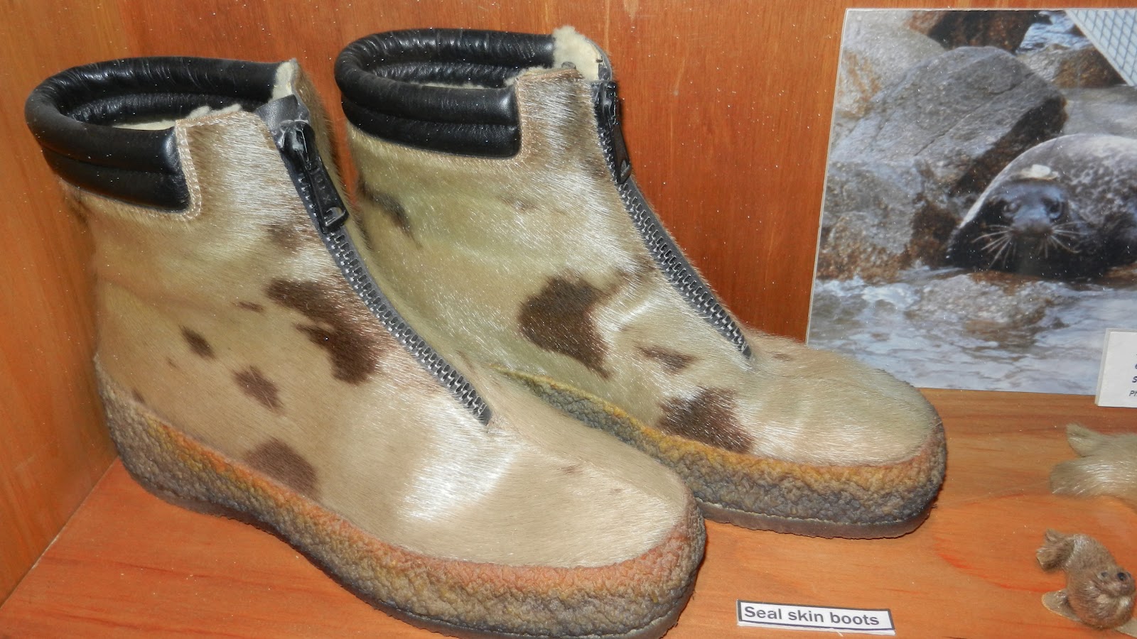 Kuweight 64 MY PHOTOS FOR THE DAY LOVELY SEAL SKIN PRODUCTS