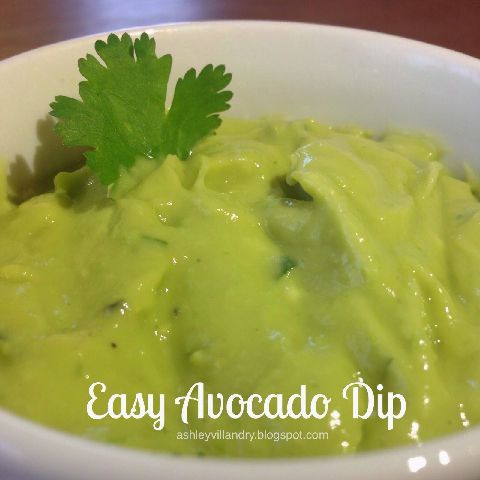 The Healthy Life Easy Avocado Dip!