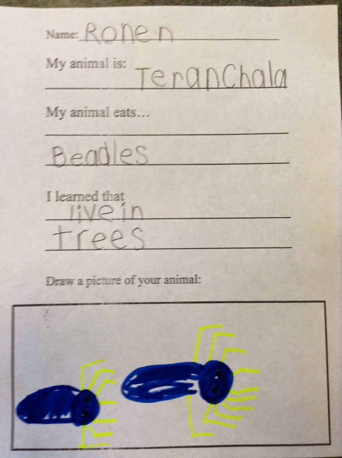 Ms. Kosmo's Infotalk spot Can kindergartners do research? Yes they can!